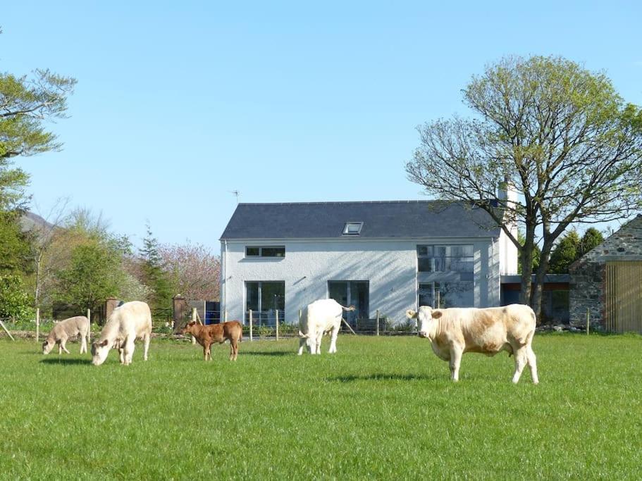 Barn Lane @ Drumagosker Rural Retreats Ardmore Екстер'єр фото